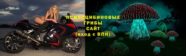 сатива Абаза