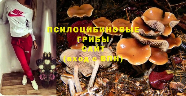 mix Абинск