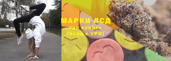 сатива Абаза