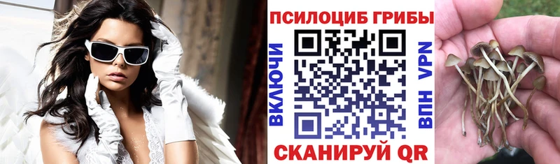 Псилоцибиновые грибы ЛСД  маркетплейс наркотические препараты  Альметьевск 